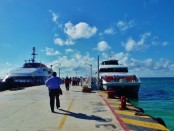 bus from cancun to playa del carmen ferry