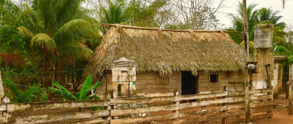 What were Mayan houses made of?