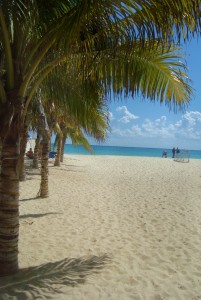 Natural Playa