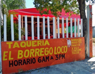 Lamb tacos, playa del carmen