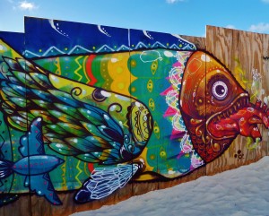  Mural, Street Art , Playa Del Carmen, graffiti