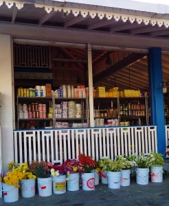 Dac market flowers in Playa Del Carmen