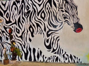  Mural, Street Art , Playa Del Carmen, graffiti