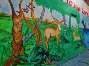 street art, Playa Del Carmen, Graffiti, Mexico