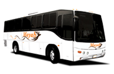 Mayab Bus