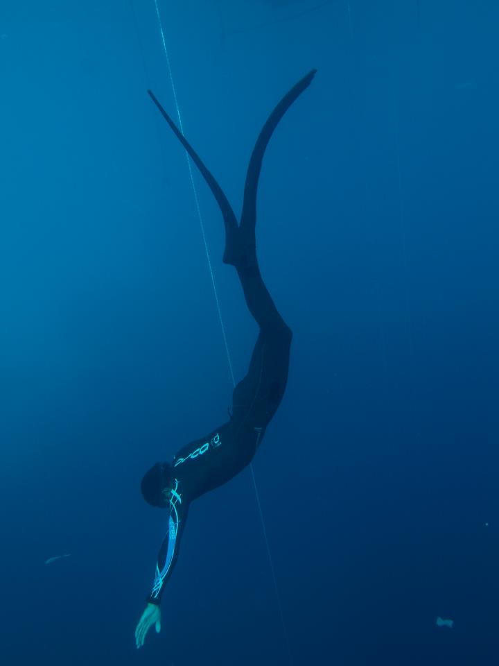 Free diving playa del carmen