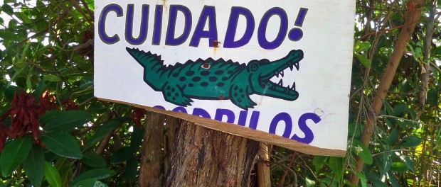 I think the crocs got to this sign before you! 