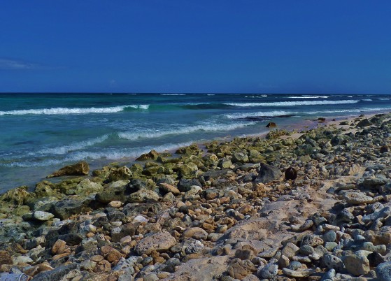 beaches near Playa Del Carmen