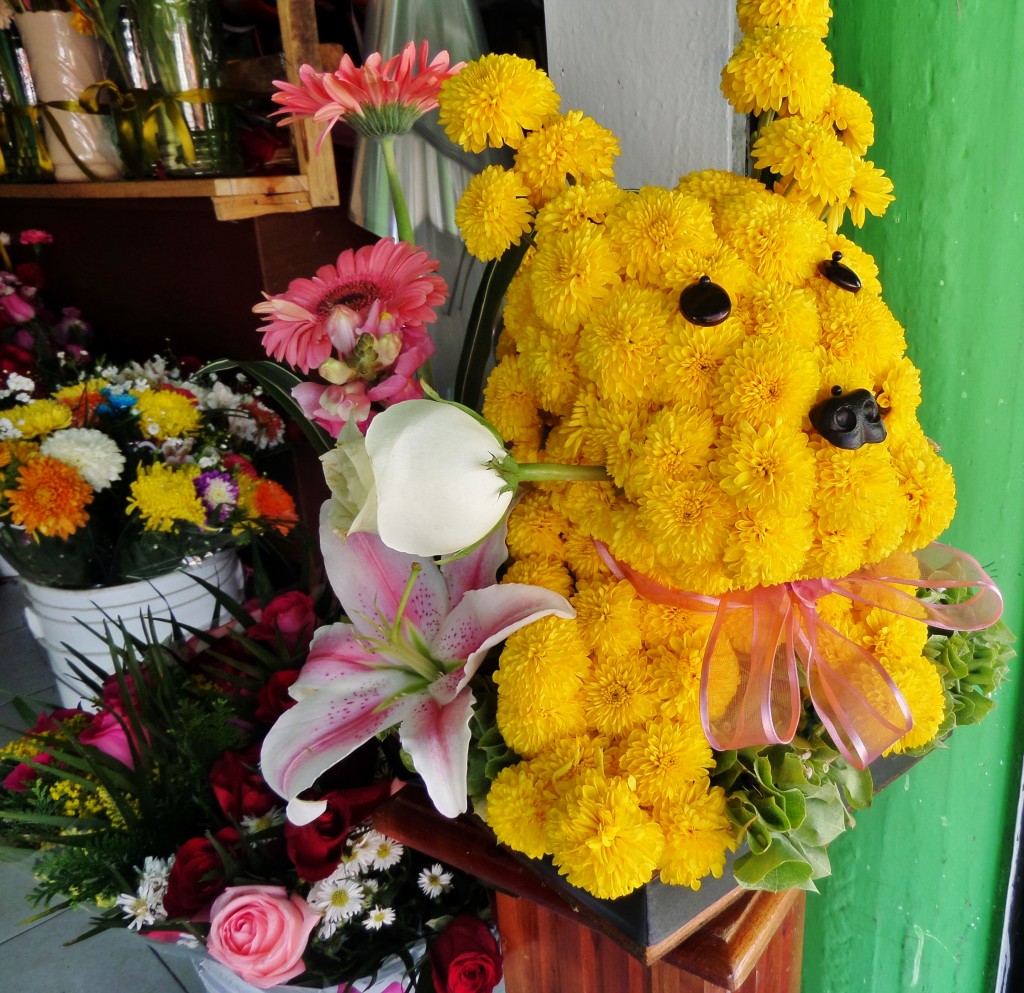 Dog made out of flowers, Playa del Carmen