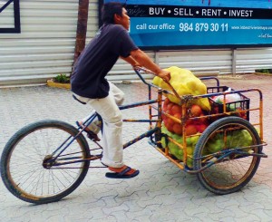 Tricycle bike playa del carmen mexico