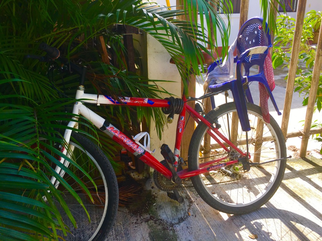 Bicycle in Mexico