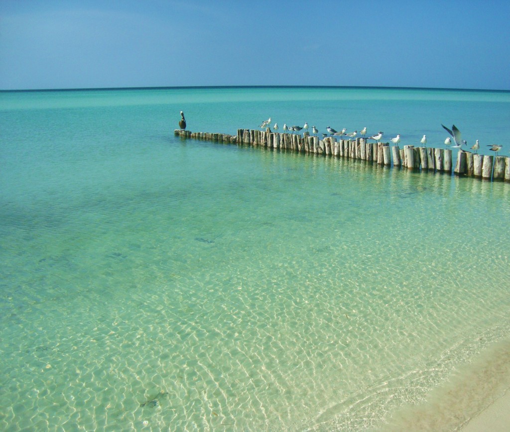 Isla Holbox, mexico