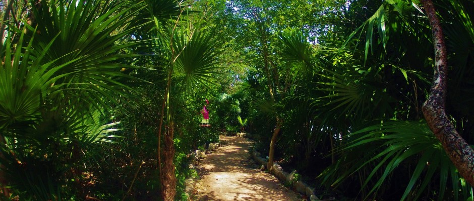 Xel-Ha , Playa Del Carmen, Mexico