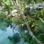 Cenote Yucatan