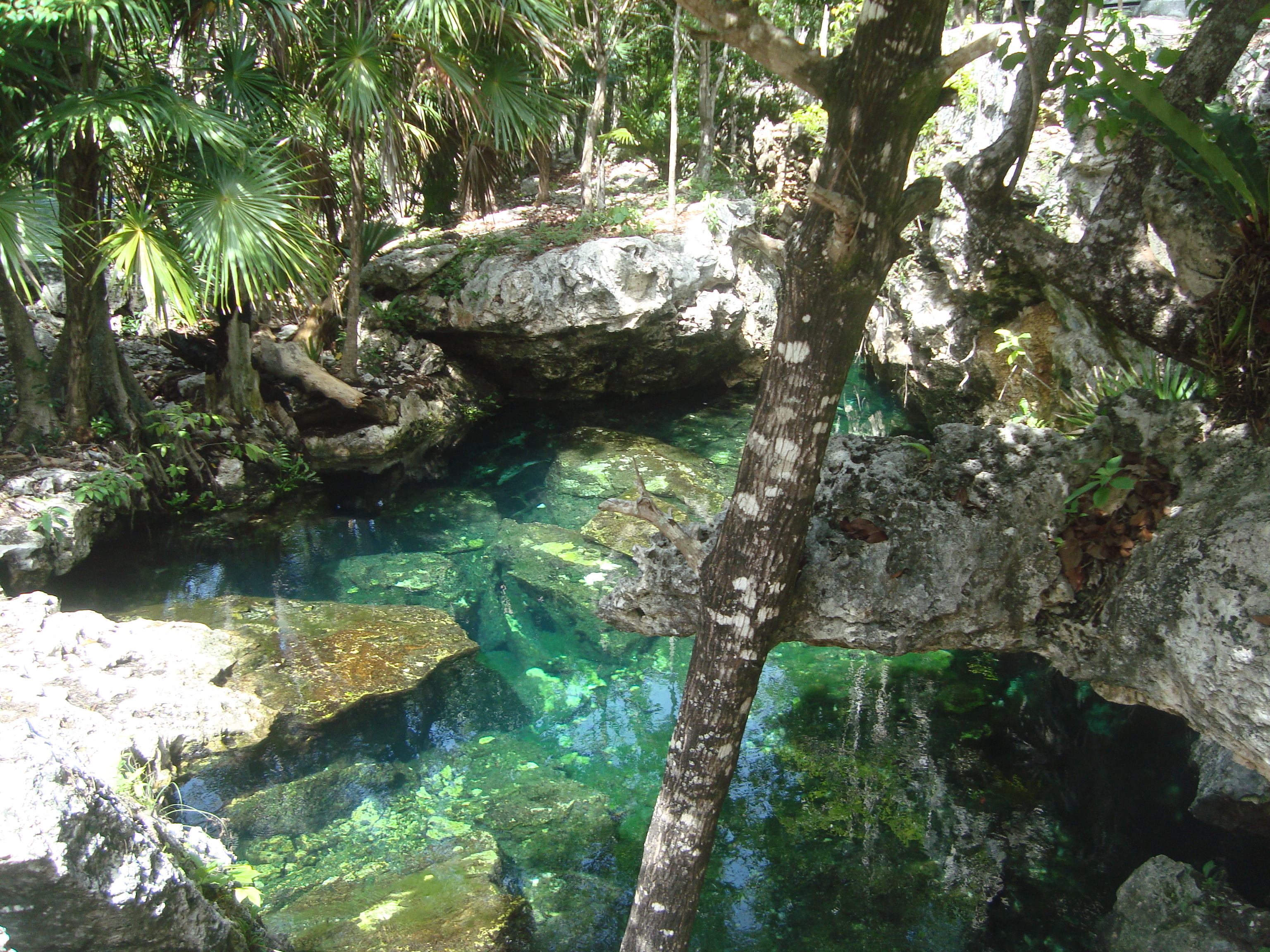 Cenote Yucatan