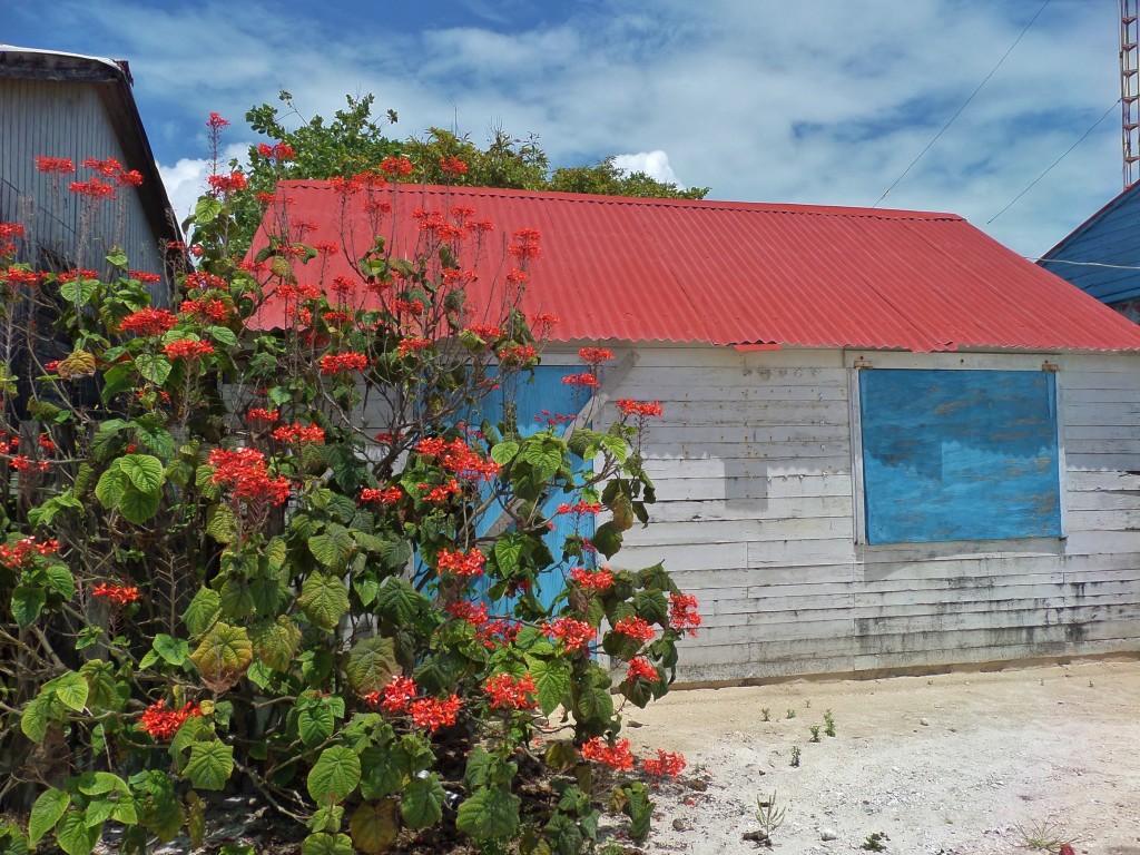 Xcalak , costa Maya, house