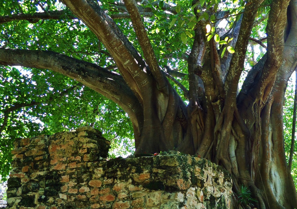 El Meco, Cancun, Mayan Ruins