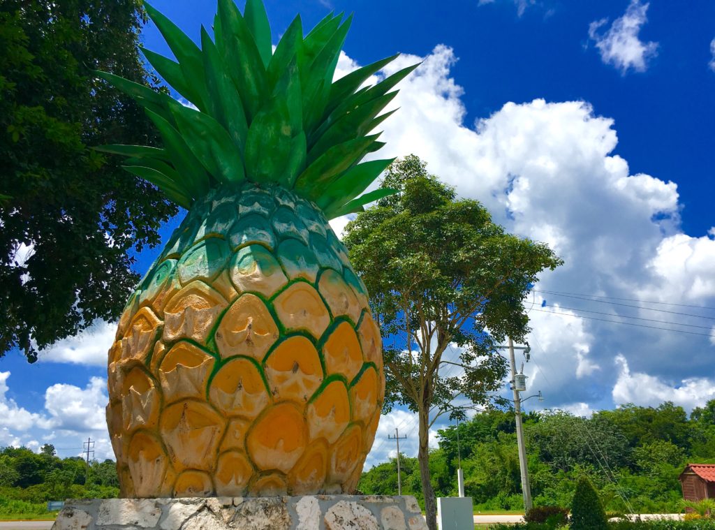 pineapple statue