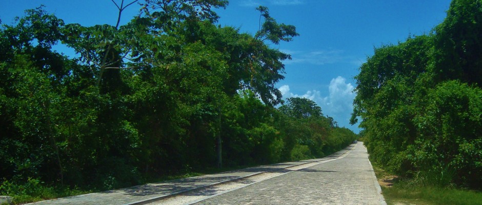 beach in Playa del Carmen Mexico