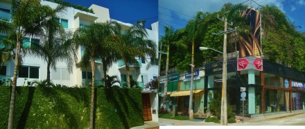 Green building in Playa Del Carmen