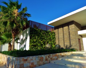 Green wall at Mamitas Beach club