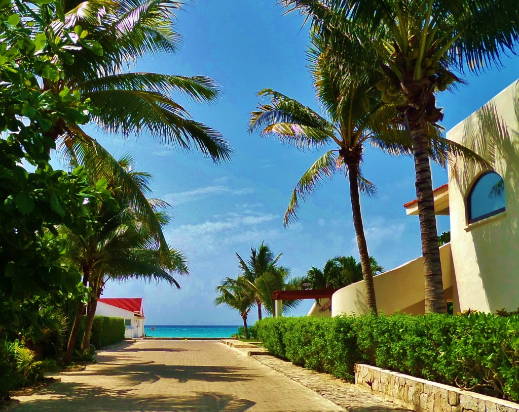 playa del carmen real estate market