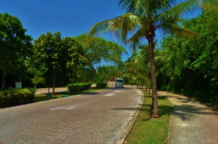 Bike trail running path Playa car playa del carmen mexico