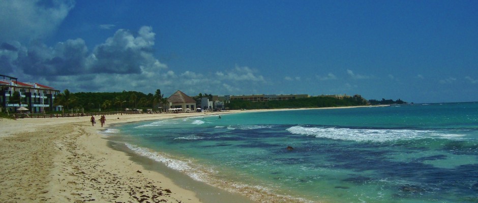 seaweed Playa Del Carmen