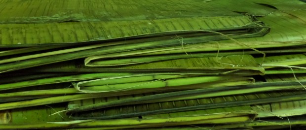 Banana leaves in Playa Del Carmen