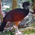 Xaman-Ha Bird Sanctuary in Playa Del Carmen Playacar