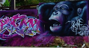 Street art graffiti and Murals in Playa Del Carmen Mexico