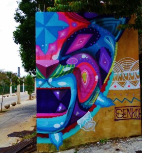 Street art graffiti and Murals in Playa Del Carmen Mexico