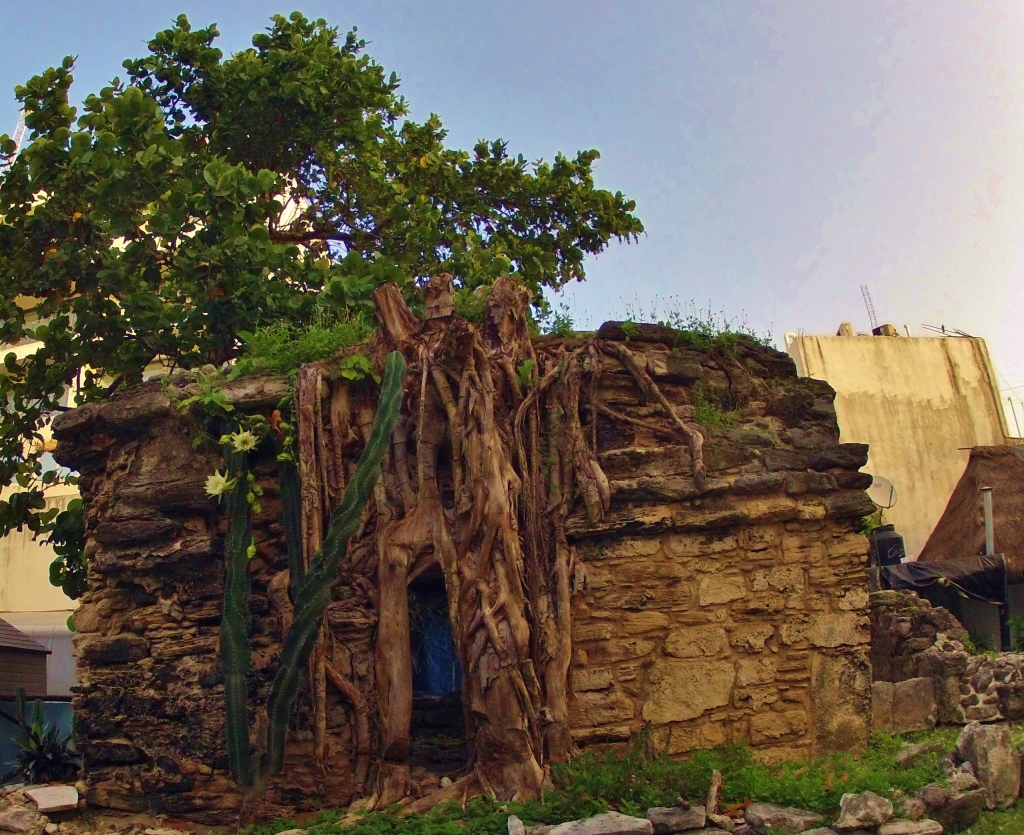 Mayan Ruins in Playa Del Carmen