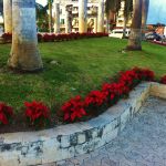 Christmas in Playa Del Carmen