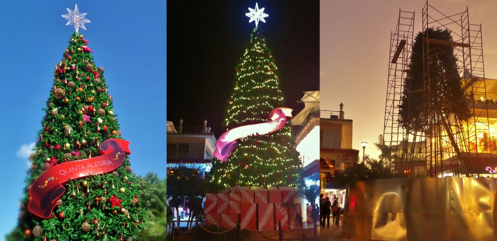 Christmas in Playa Del Carmen