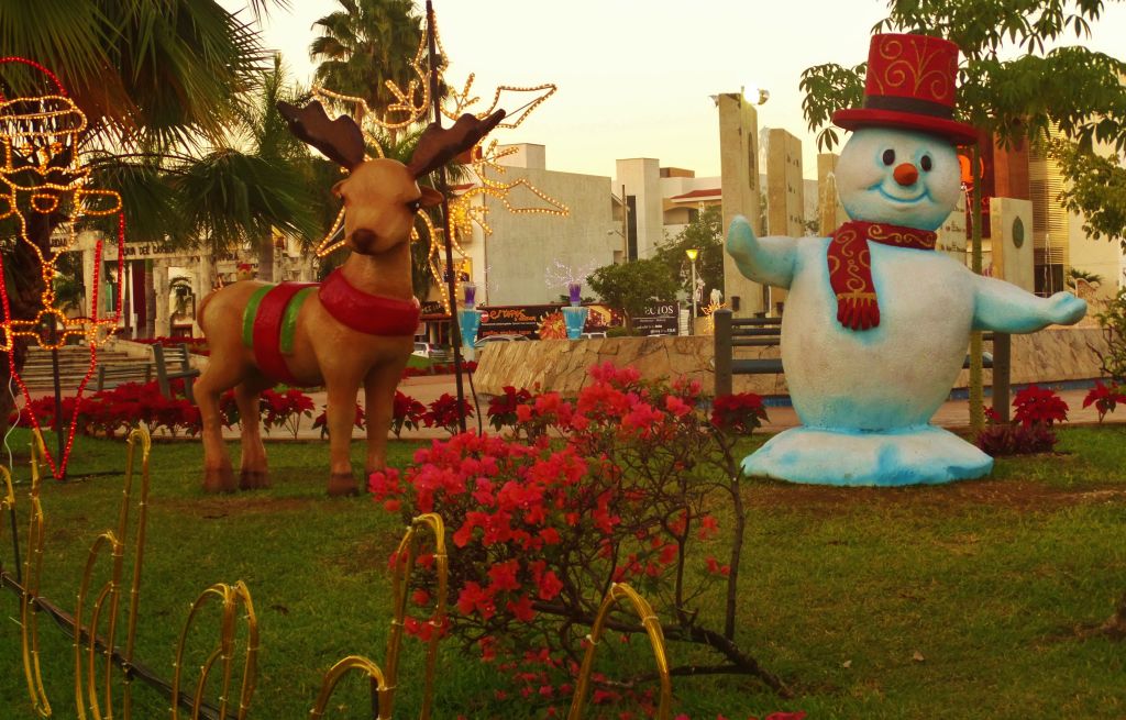 Christmas in Playa Del Carmen