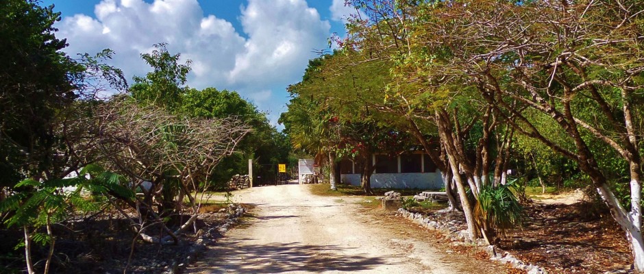 Everyone's favorite cenote to visit-El Jardin Del Eden - Everything