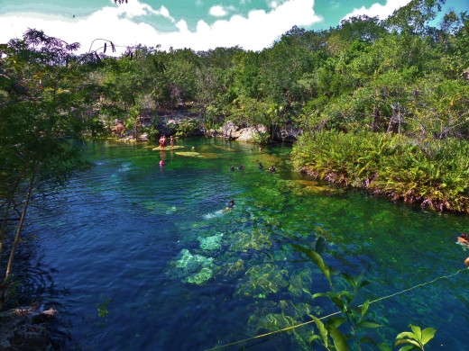 Cenote El Jardin Del Eden