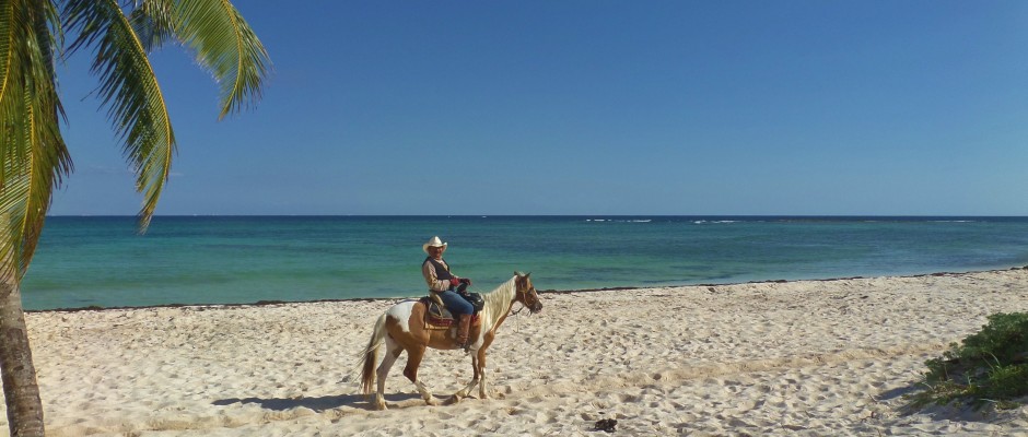 Punto Venado eco park horseback riding