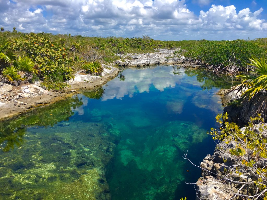 snorkeling in Playa Del Carmen