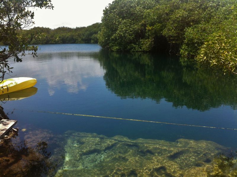 Cenote Encantado Tulum Mexico