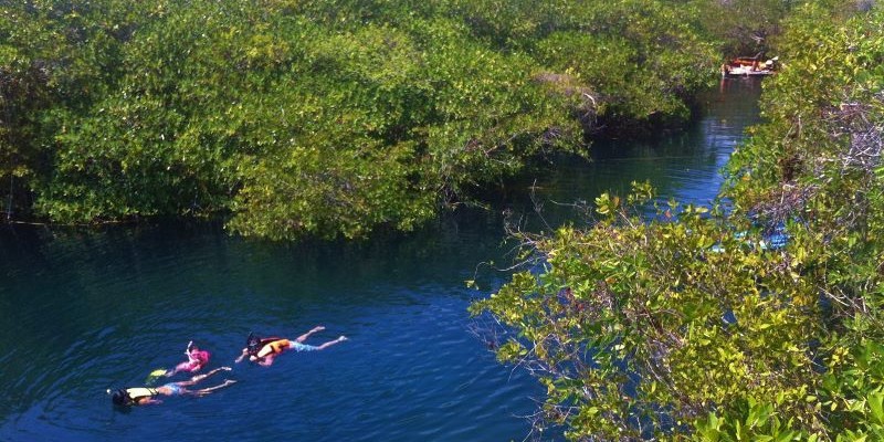 Cenote Encantado Tulum Mexico