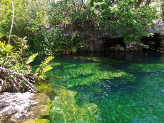 Cenote Cristalino