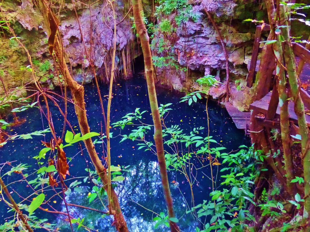 Private cenote tour Playa Del Carmen