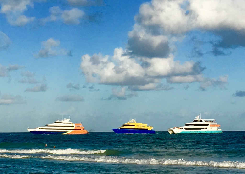 Cozumel Ferry schedule