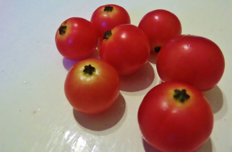 Capulin fruit