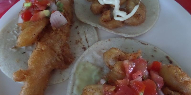 La Floresta seafood restaurant Playa Del Carmen tacos