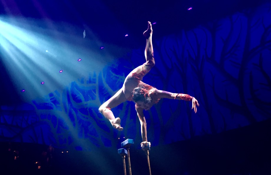 Cirque Du Soleil Joya show Riviera Maya Mexico