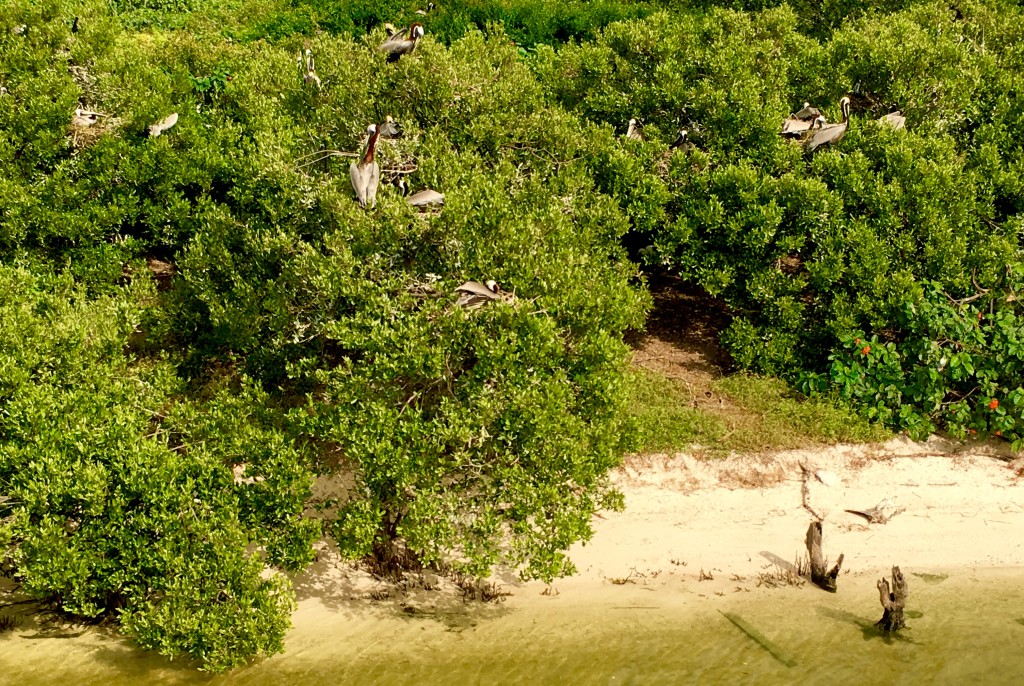  Holbox Island Tour