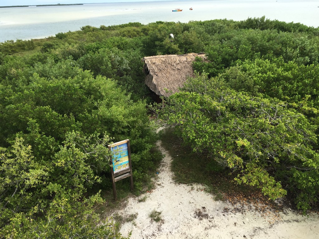 Isla Holbox Tour